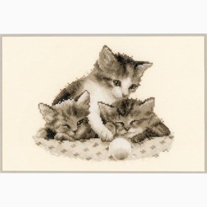 Gatitos