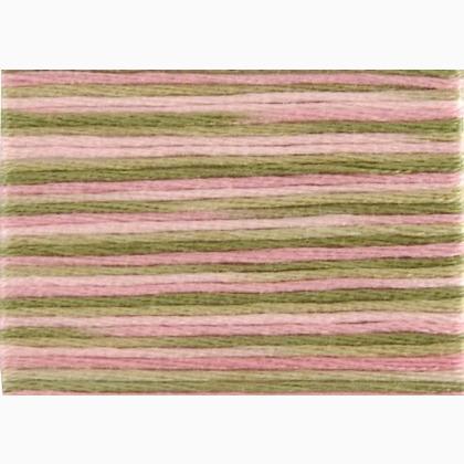 DMC Coloris - Ancolie des jardins 4500
