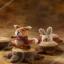 Tiny Toys to Knit by Sachiyo Ishii
