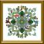 The Rainforest Mandala