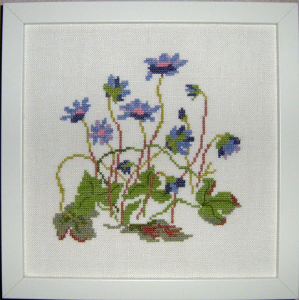 Blue Flowers