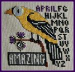 Amazning April (Birds Eye)