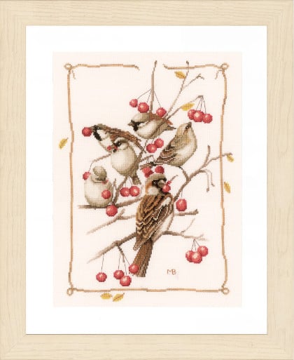 Sparrows and Currant