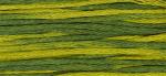 Pearl 2202 Bullfrog Green