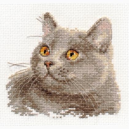 British cat