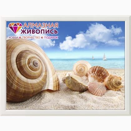 Seashells on the shore