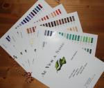 Ficha de colores Soie Perlée