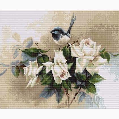 Bird and Roses
