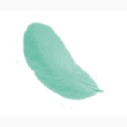Plumas 12 cm: Verde