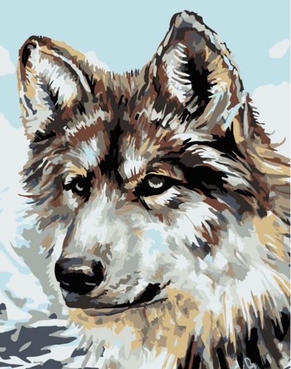 Gray Wolf