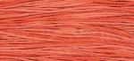 WDW 2249 Sockeye