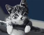 Gray Tenderness
