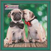 Pugs