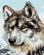 Gray Wolf
