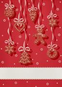 Trapo de cocina - Ginger - Rojo