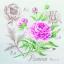 Étude à la Pivoine - Lino