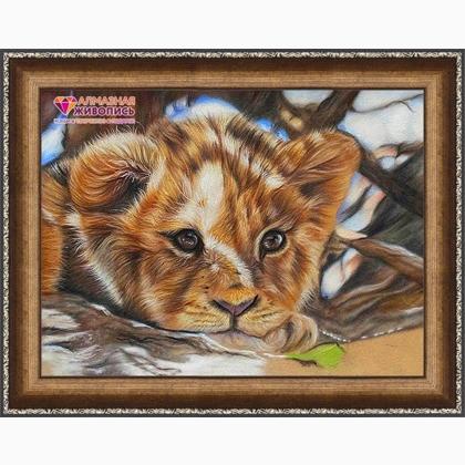 Little lion