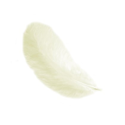 Plumas 12 cm: Amarillo claro
