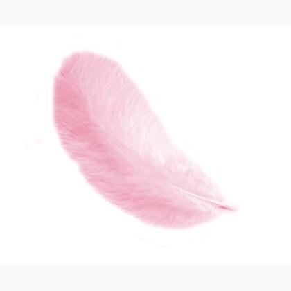 Plumas 12 cm: Rosa
