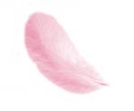 Plumas 12 cm: Rosa