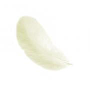 Plumas 12 cm: Amarillo claro