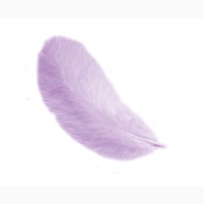 Plumas 12 cm: Lila