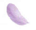 Plumas 12 cm: Lila