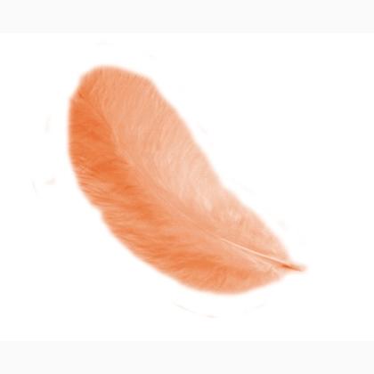 Plumas 12 cm: Naranja