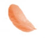 Plumas 12 cm: Naranja