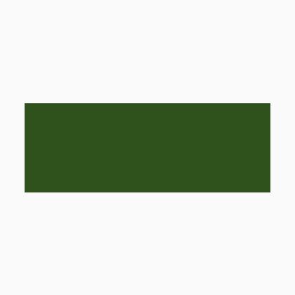 Color Acrilico opaco - Verde bosque - 200ml.