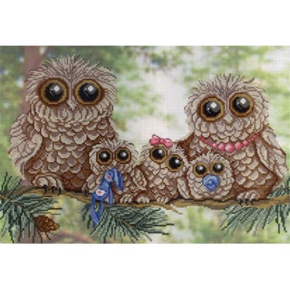 Owl Family