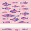 Trapo de cocina - Dory - Rosa