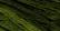 Sampler Threads: Green With Envy