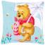 Almohada: Winnie in the Rain