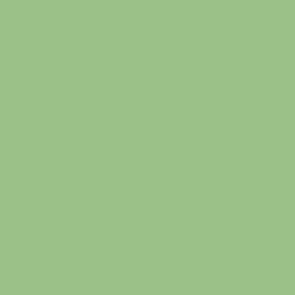 Solid Fern Green