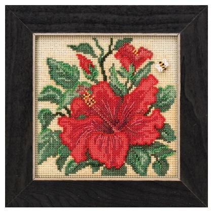 Hibiscus