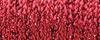 003HL Red High Lustre Kreinik Ribbon (1/16")