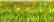 015L Laser Lime Kreinik Ribbon (1/16")