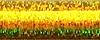 028L Solar Flair Kreinik Ribbon (1/16")