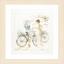 Chicas en bicicleta