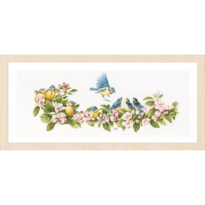Blue Tits & Blossoms