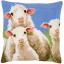 Almohada: Curious Sheep