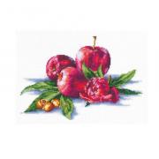 Apple and Hazelnut