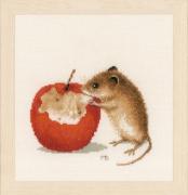 Little mouse