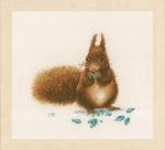 Squirrel