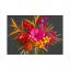 Kit Papel crepé - Tropical Garden Collection