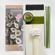 Kit Anémona de papel crepé