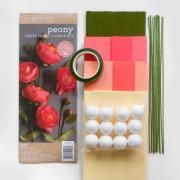 Kit Peonía de papel crepé
