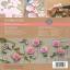Kit Rosas & Brotes papel esmerilado
