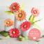 Kit Gerberas papel esmerilado